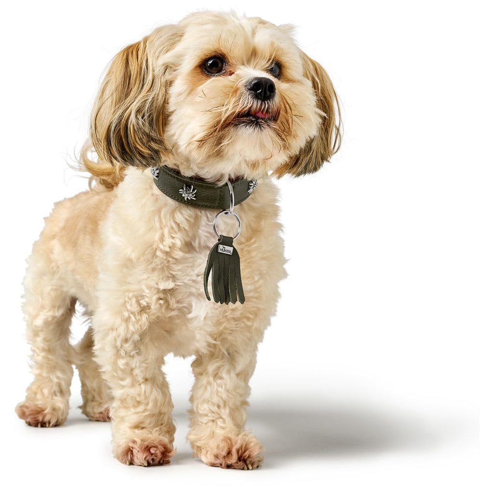 hunter-hundehalsband-m-nchen-handvern-htes-ledehalsband-mit-trachten-details-aus image 6