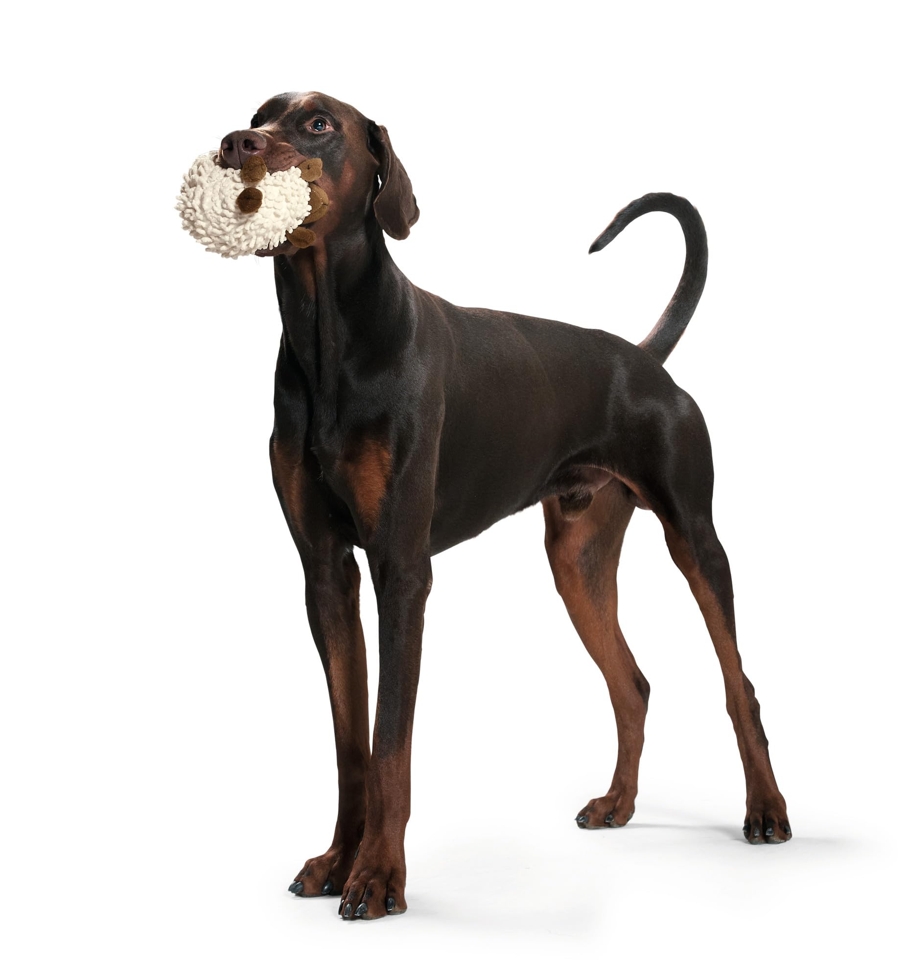 hunter-snugly-hundespielzeug-pl-sch-schaf-mit-quietscher-gro-17-cm image 2