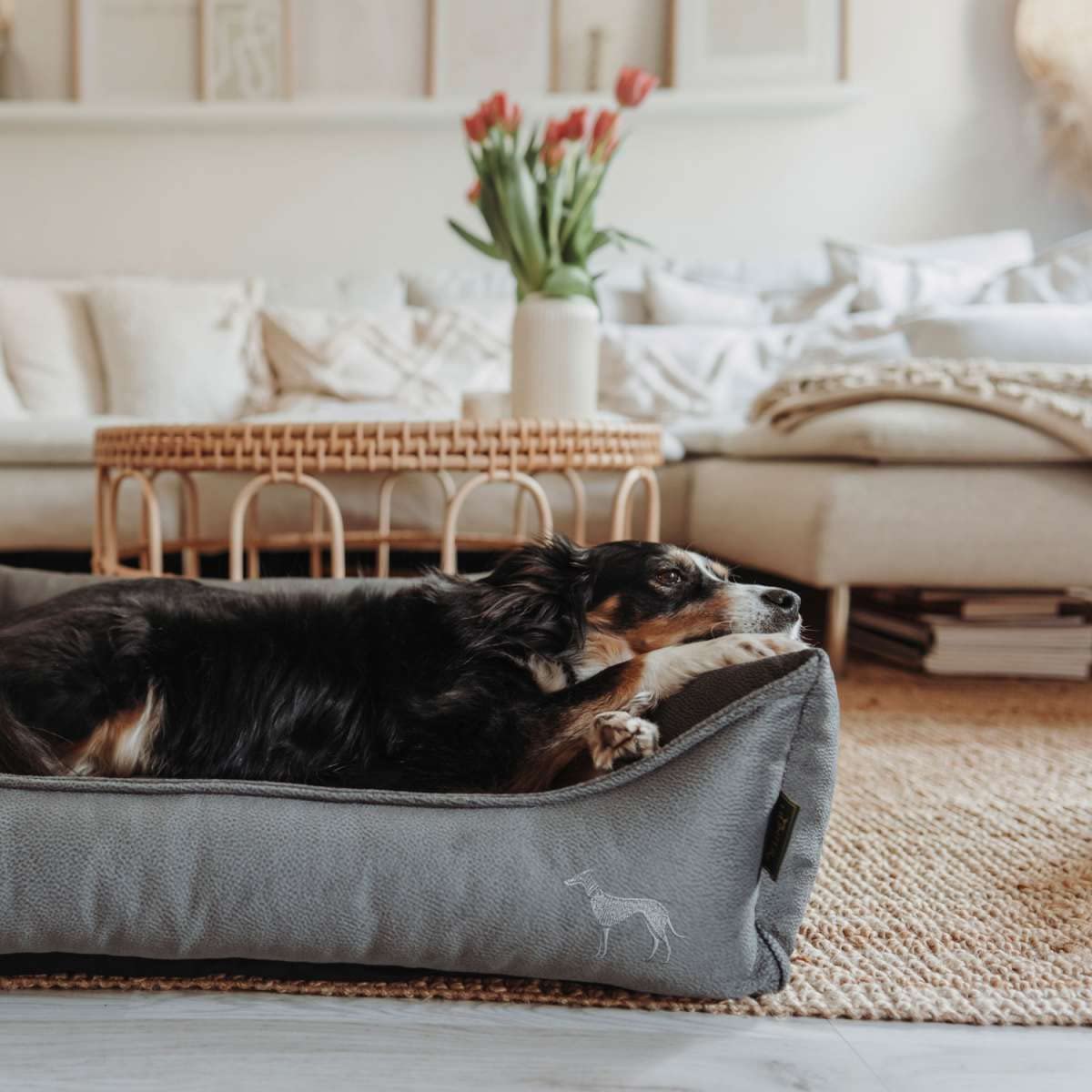 hunter-merida-orthop-disches-hundekissen-mit-memoryschaum-gelenkschonend-rutschh image 8