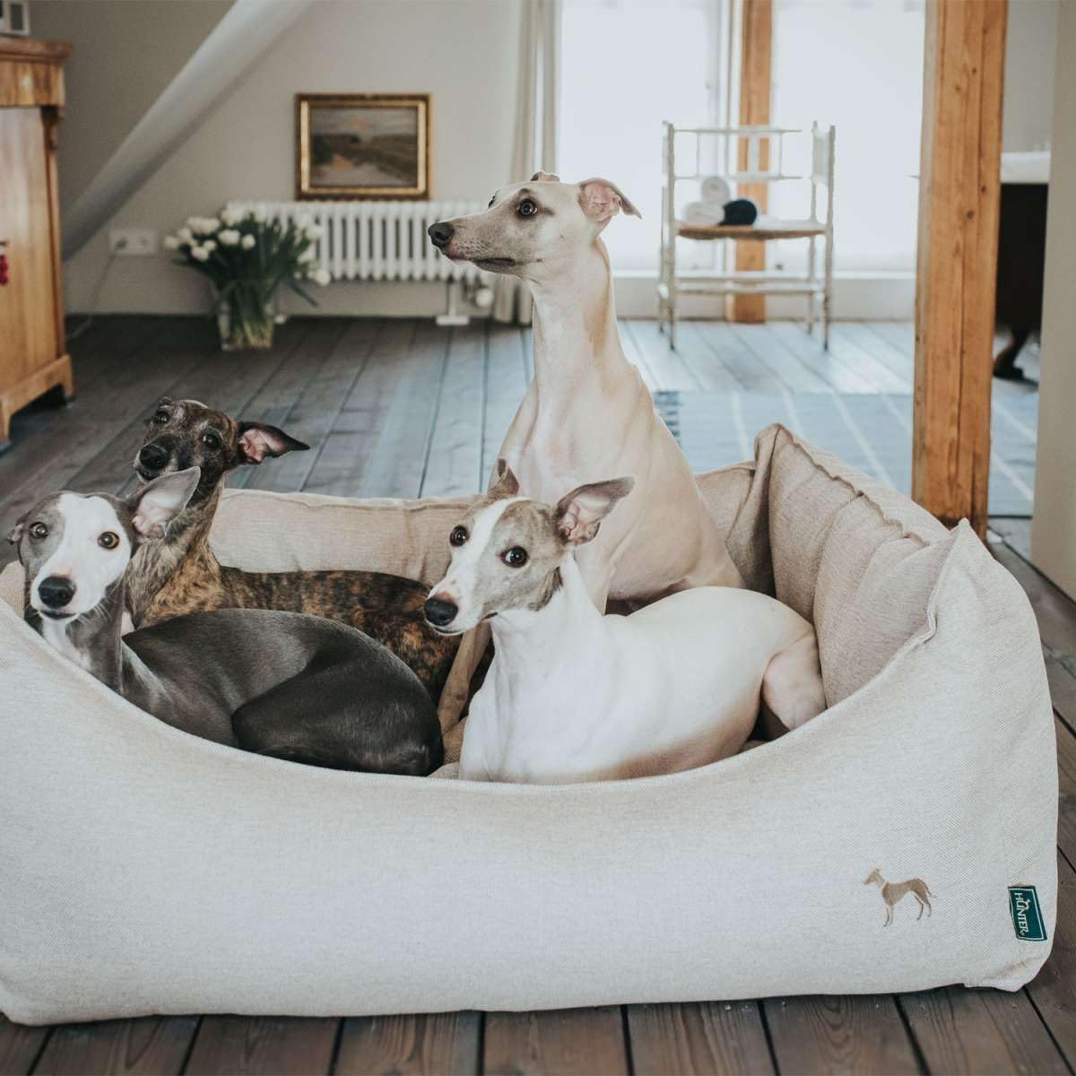 hunter-hundesofa-livingston-gr-e-m-hundebett-aus-robustem-strukturstoff-herausne image 6