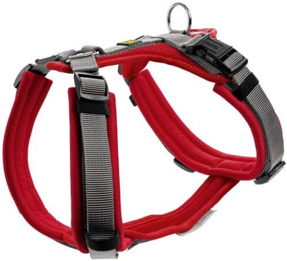 hunter-geschirr-maldon-34-49-xs-weich-gepolstertes-y-hundegeschirr-mit-3m-scotch image 5