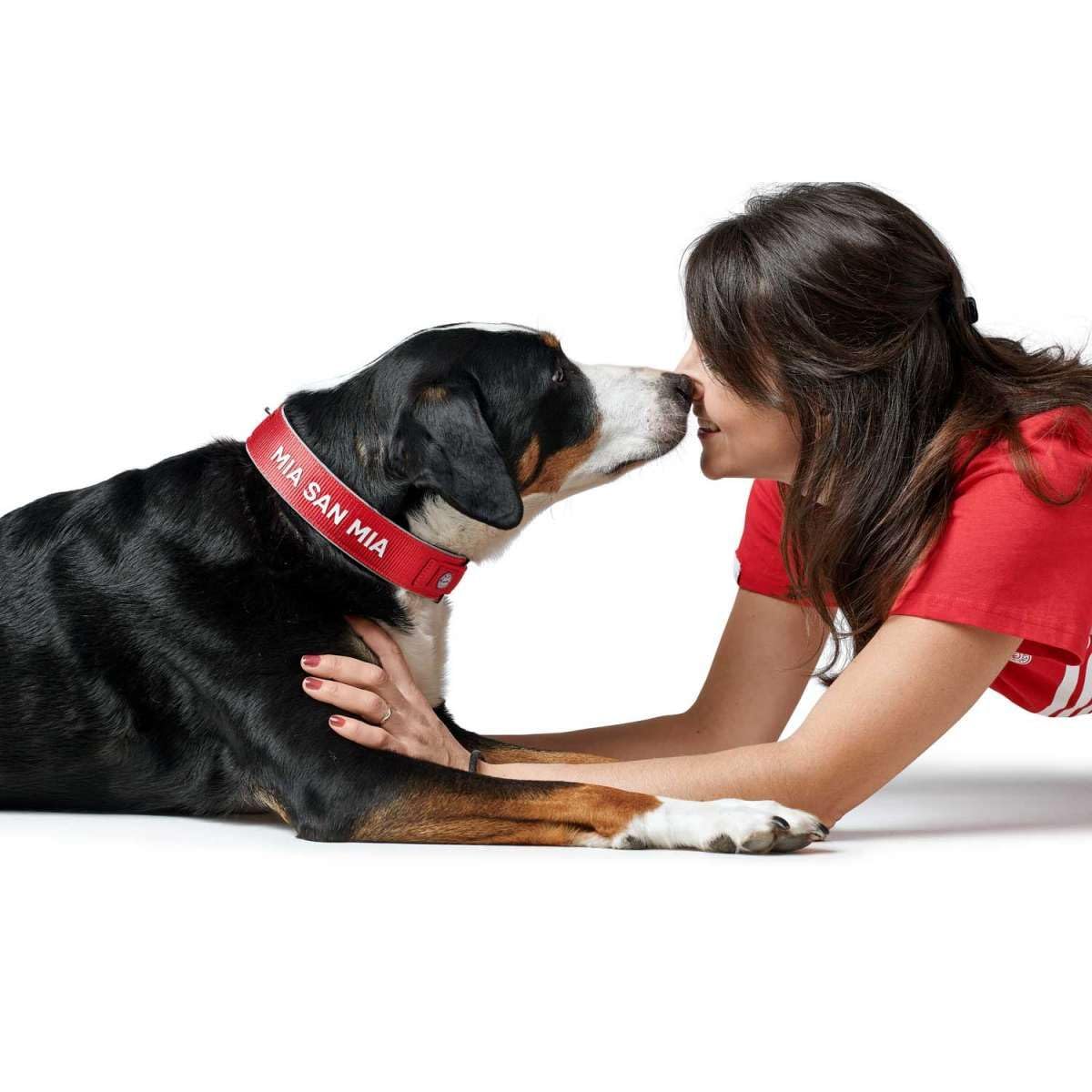 hunter-neopren-reflect-fc-bayern-m-nchen-hundehalsband-weich-gepolstert-gr-e-s-m image 5