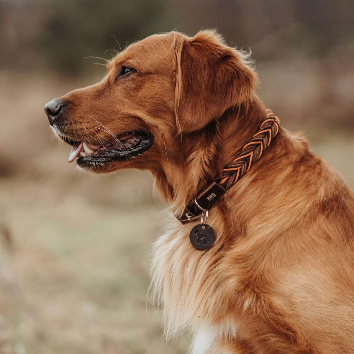 hunter-solid-education-cord-hundehalsband-gr-e-40-handgeflochtenes-rindsleder-mi image 7