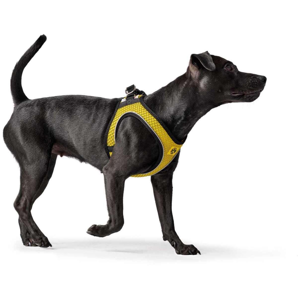 hunter-hilo-comfort-bvb-hundegeschirr-xxs-3d-mesh-mit-k-hl-effekt-3m-scotchlite- image 4