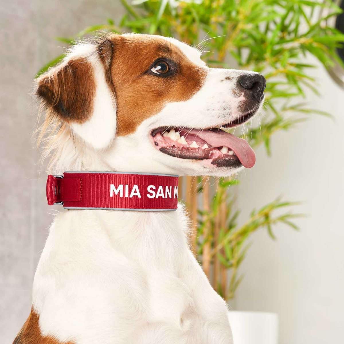 hunter-neopren-reflect-fc-bayern-m-nchen-hundehalsband-weich-gepolstert-gr-e-s-m image 7