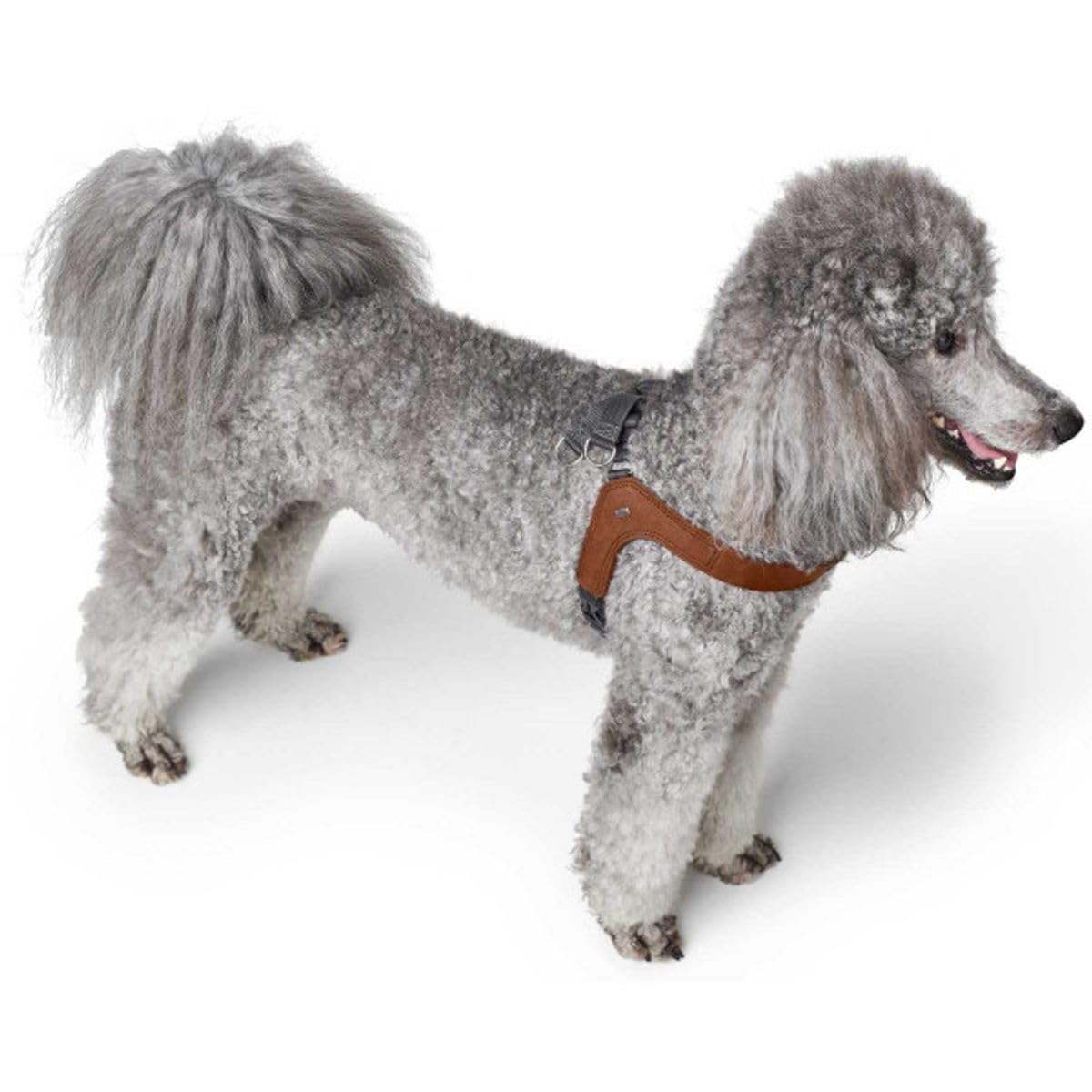 hunter-hundegeschirr-dimaro-cognac-rindsleder-step-in-design-verstellbar-made-in image 5