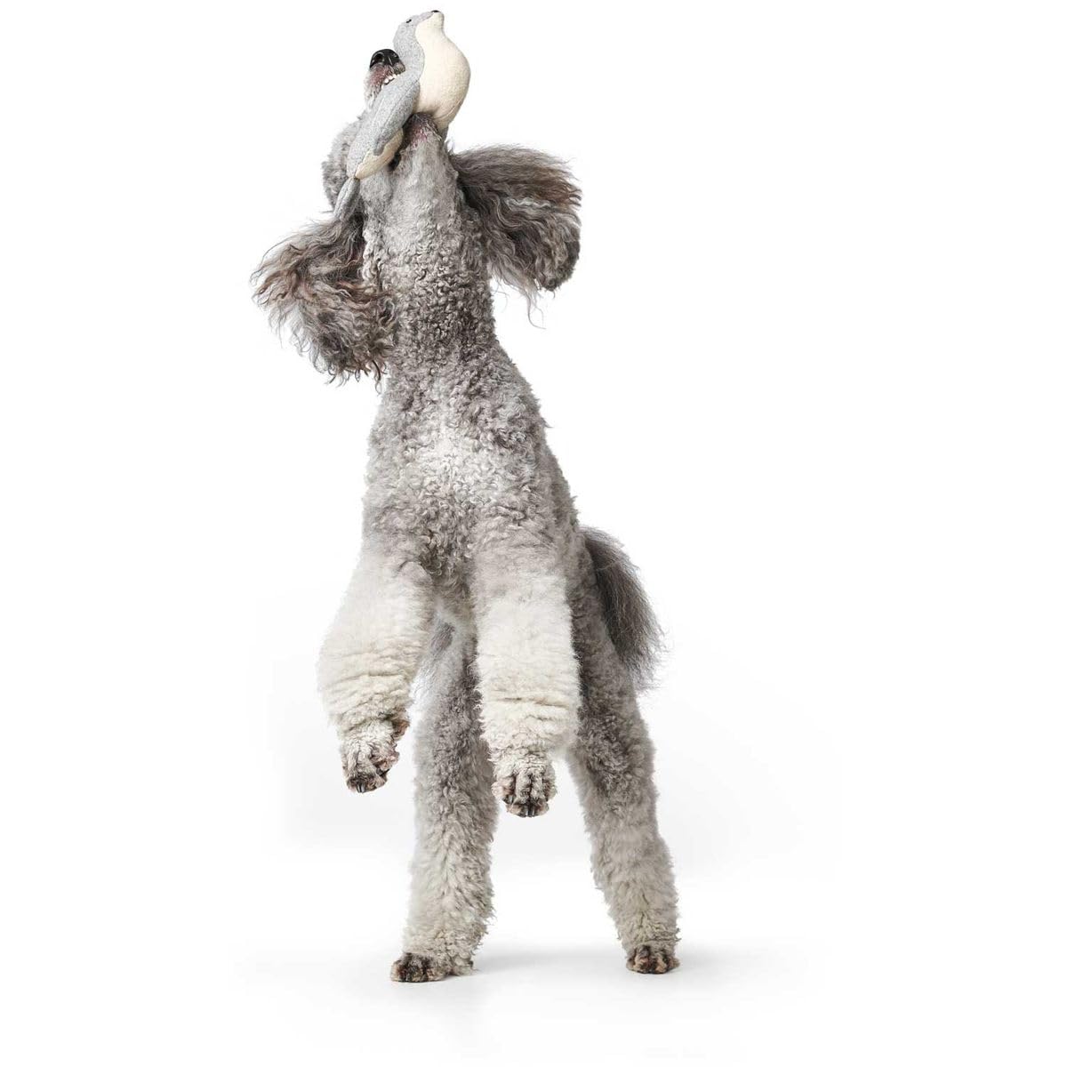 hunter-skagen-seerobbe-hundespielzeug-25-cm-ohne-squeaker-aus-recycelten-materia image 3