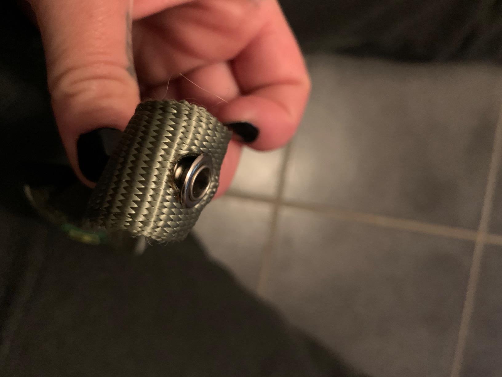 Perfekt für unseren Rüden