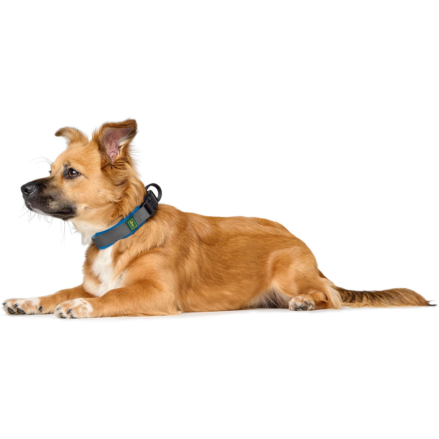 hunter-maldon-hundehalsband-blau-atmungsaktives-mesh-nylon-zugentlastung-adressl image 4