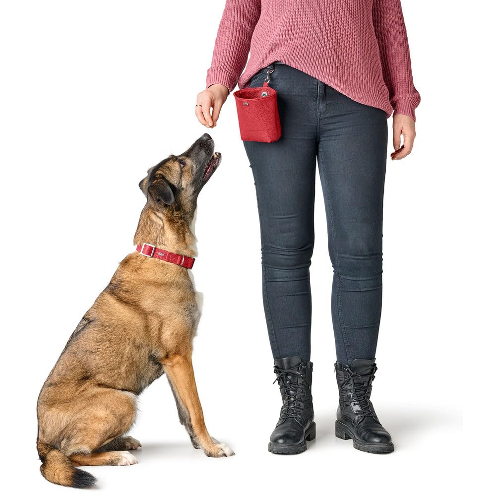 hunter-halsung-sofia-alu-strong-stufenlos-verstellbares-hundehalsband-veganer-ku image 3