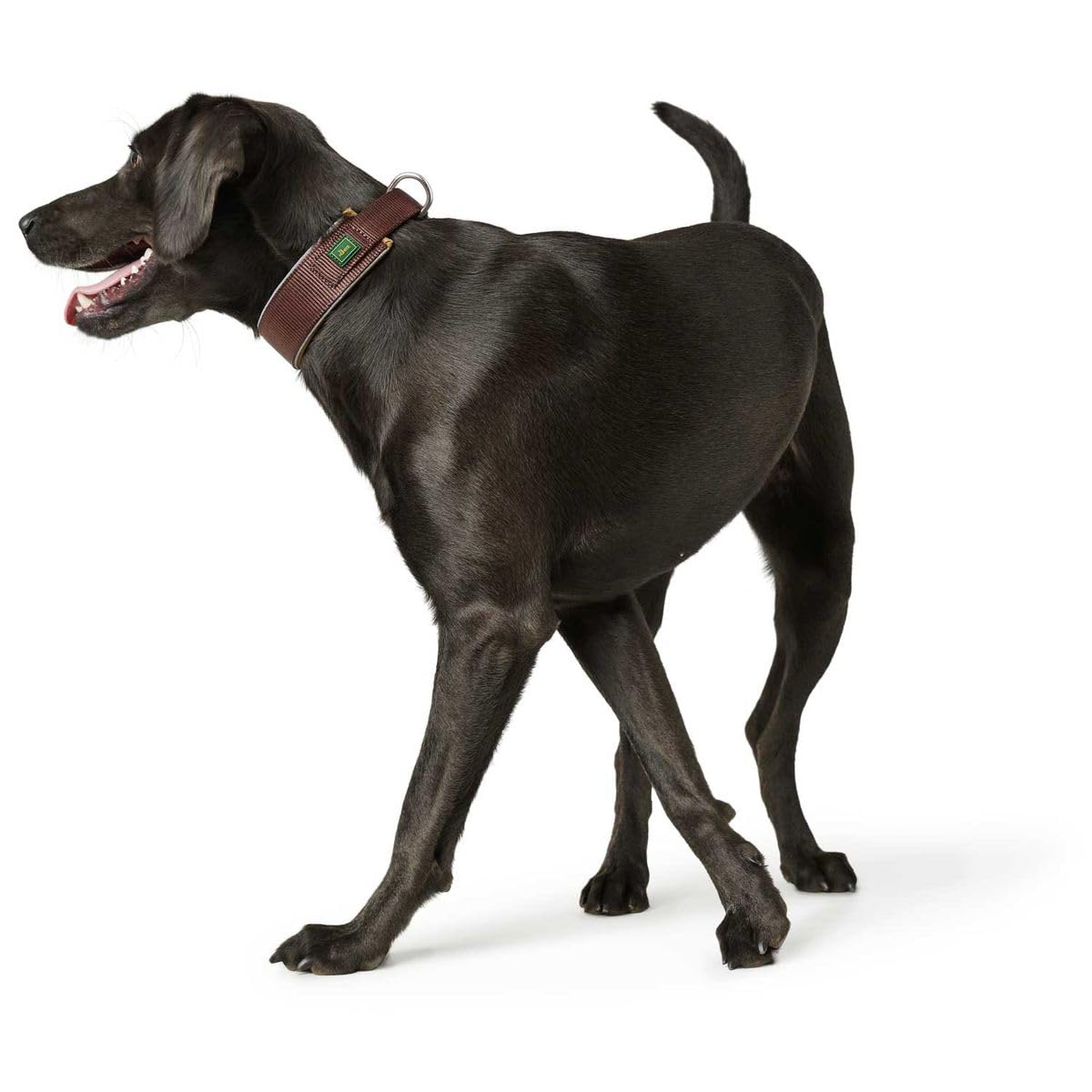 hunter-neopren-reflect-hundehalsband-gr-e-45-braun-caramel-weiche-polsterung-ref image 3