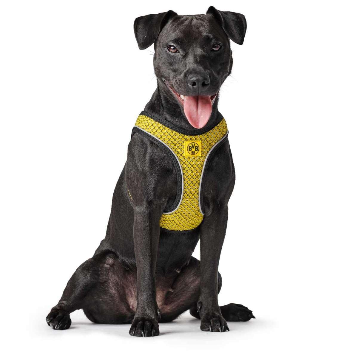 hunter-hilo-comfort-bvb-hundegeschirr-xxs-3d-mesh-mit-k-hl-effekt-3m-scotchlite- image 5