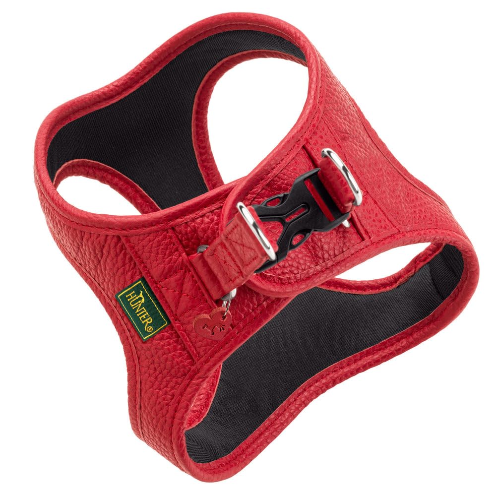 hunter-love-hundegeschirr-step-in-geschirr-aus-rindnappaleder-mit-mesh-futter-ha image 7