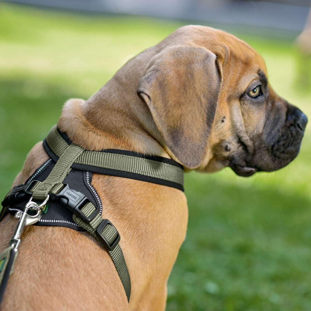 hunter-hundegeschirr-neopren-m-1-oliv-schwarz-gepolstertes-nylon-brustgeschirr-m image 2