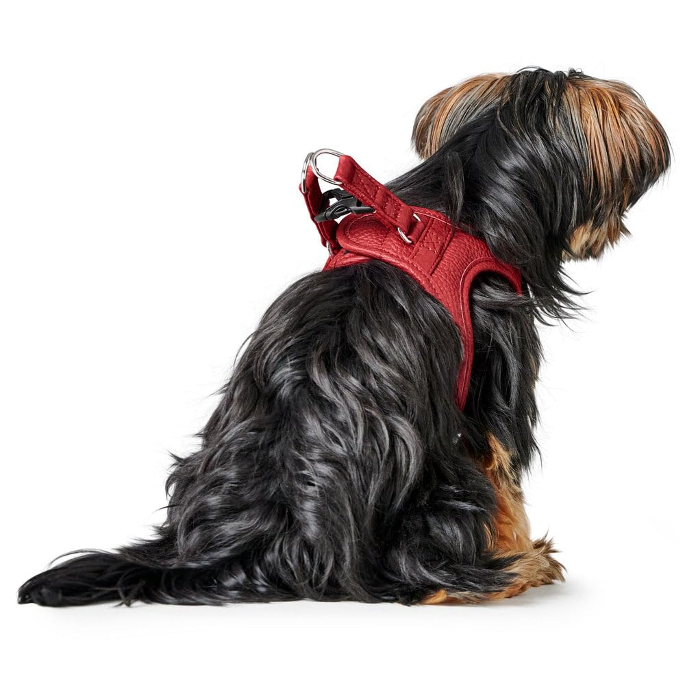 hunter-love-hundegeschirr-step-in-geschirr-aus-rindnappaleder-mit-mesh-futter-ha image 8