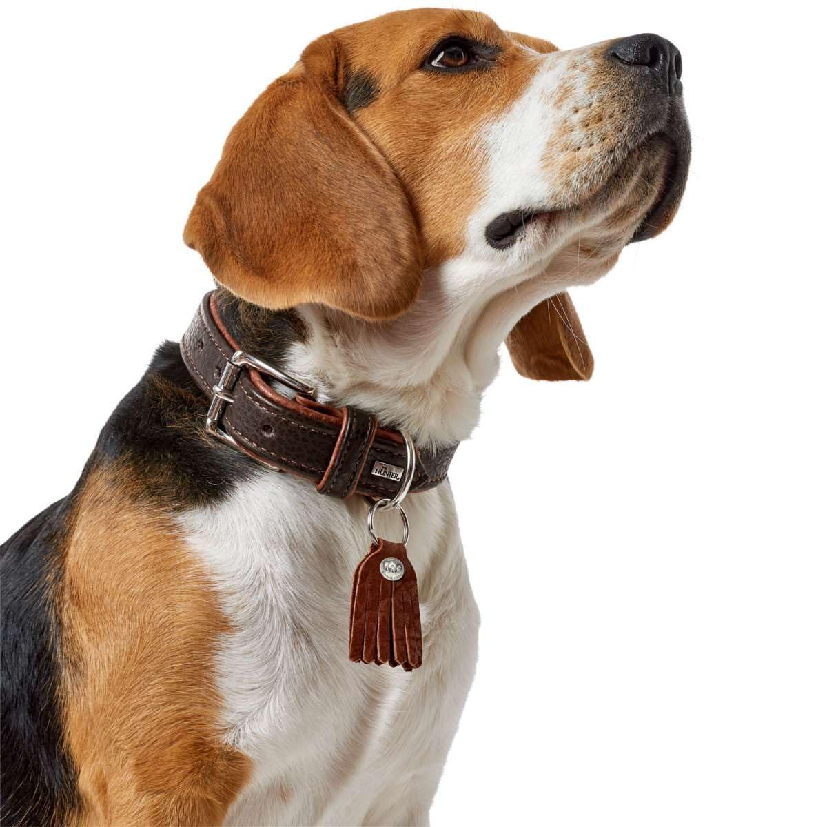 hunter-cody-hundehalsband-aus-bisonleder-gr-e-s-45-dunkelbraun-cognac-mit-schl-s image 4