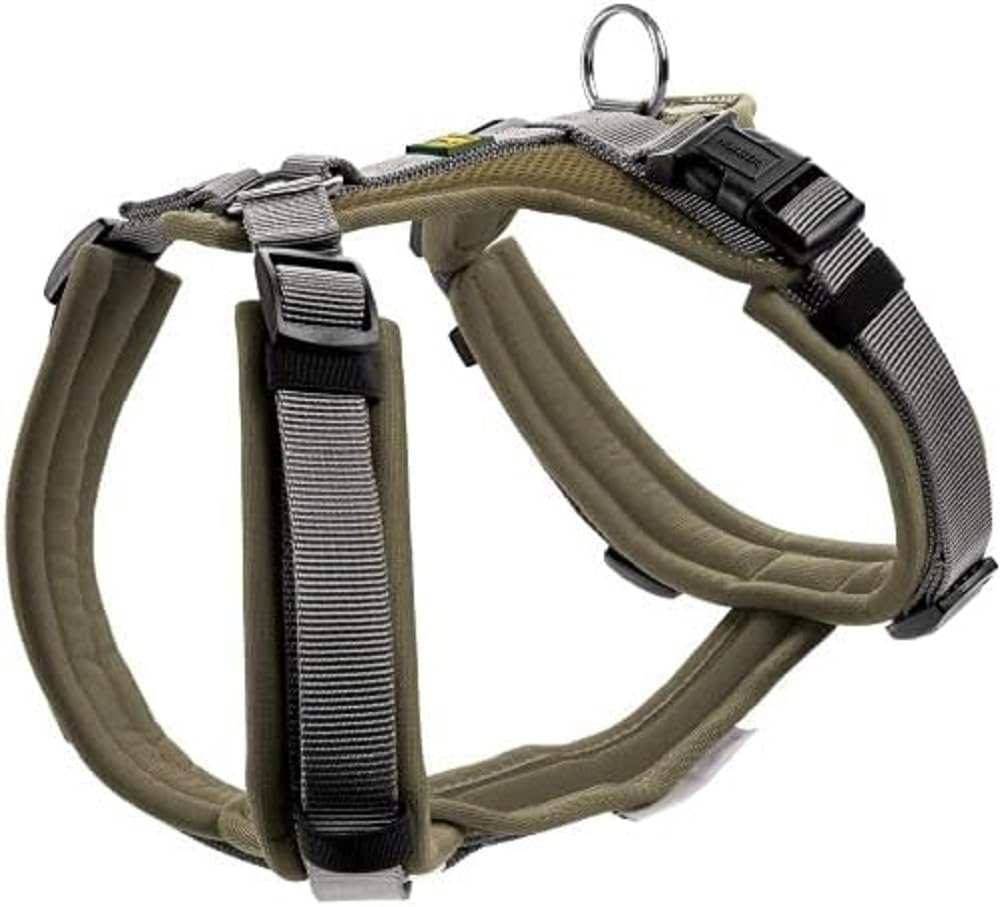 hunter-geschirr-maldon-34-49-xs-weich-gepolstertes-y-hundegeschirr-mit-3m-scotch image 3