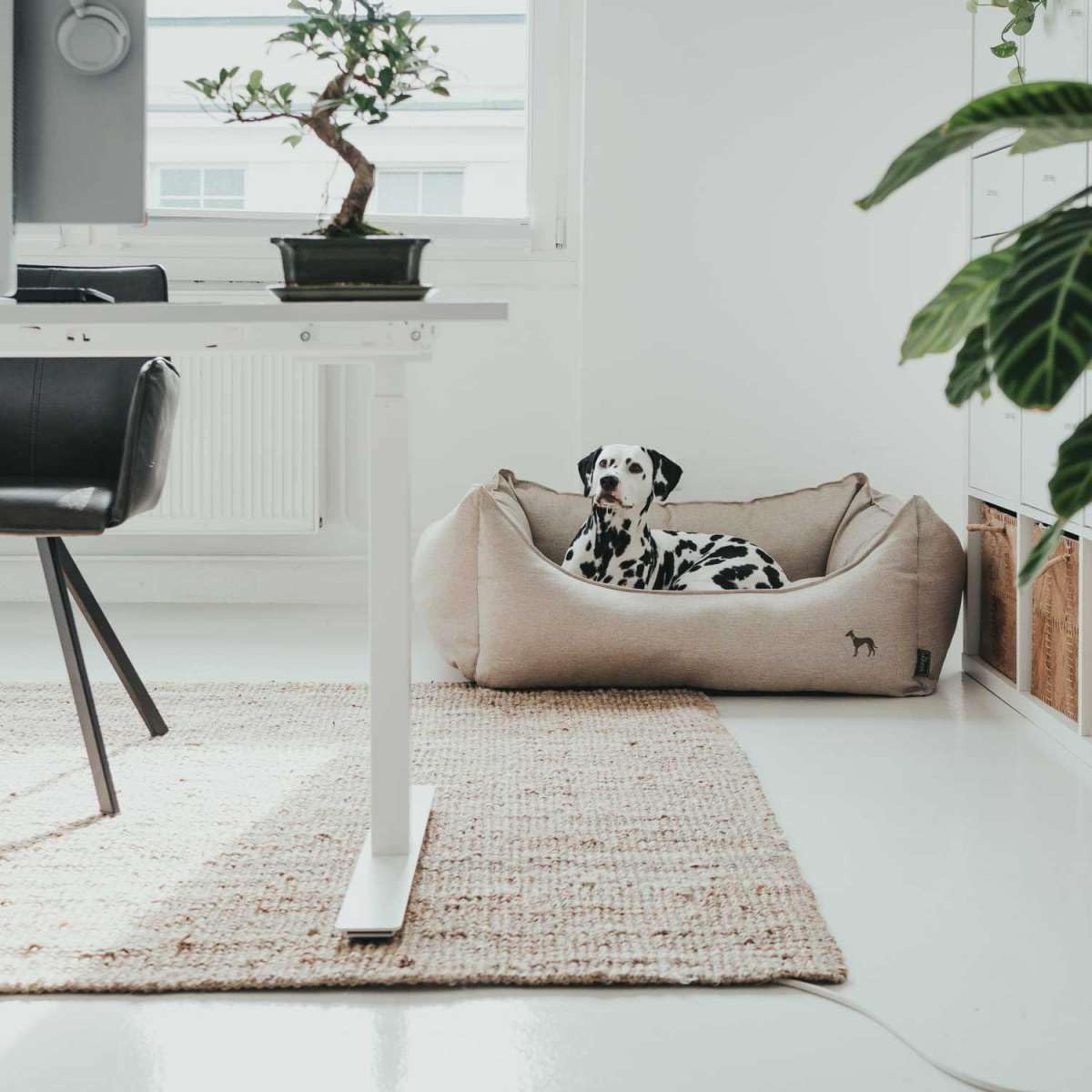 hunter-hundesofa-livingston-gr-e-m-hundebett-aus-robustem-strukturstoff-herausne image 7