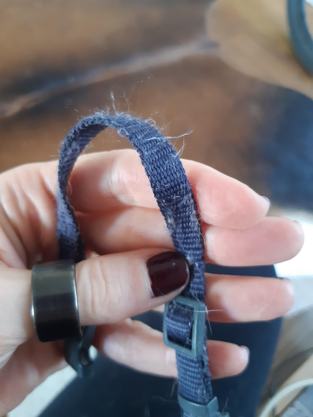 Solides Halsband für den Alltag