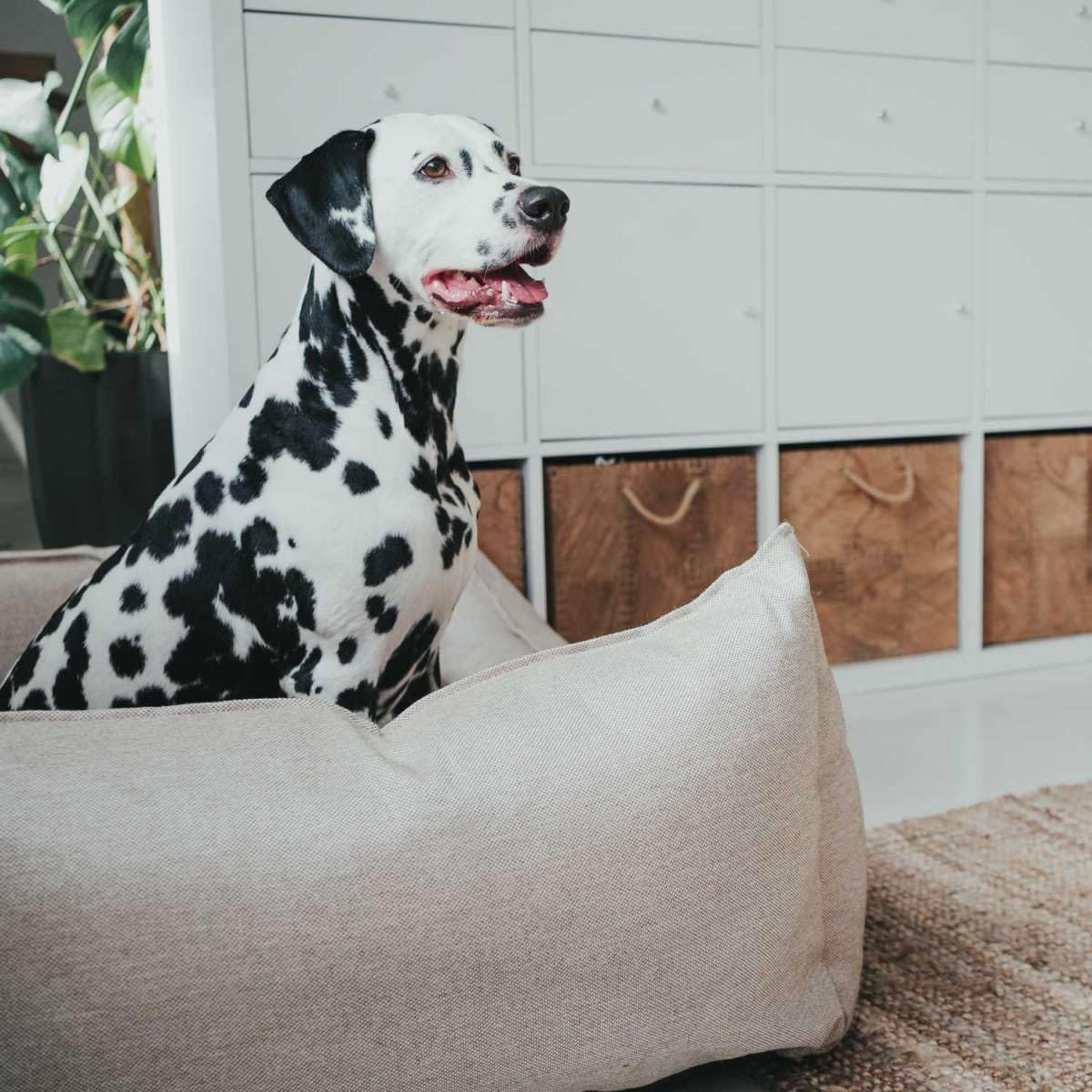 hunter-hundesofa-livingston-gr-e-m-hundebett-aus-robustem-strukturstoff-herausne image 8