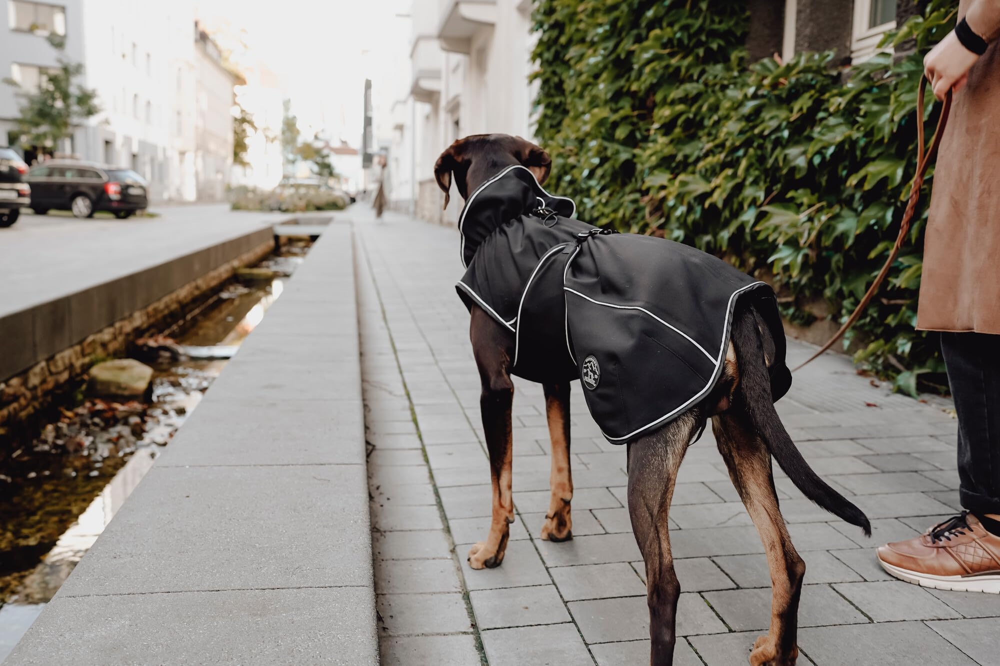 hunter-uppsala-softshell-hundemantel-gr-e-30-schwarz-wasser-und-winddicht-fleece image 6