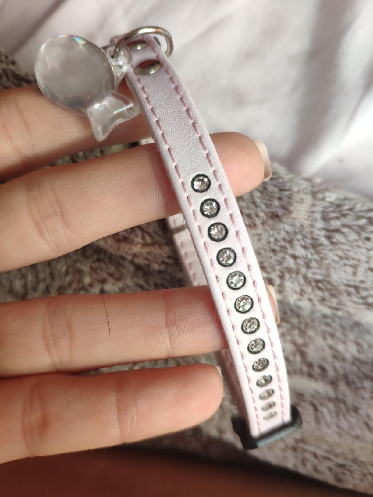 Tolles Halsband