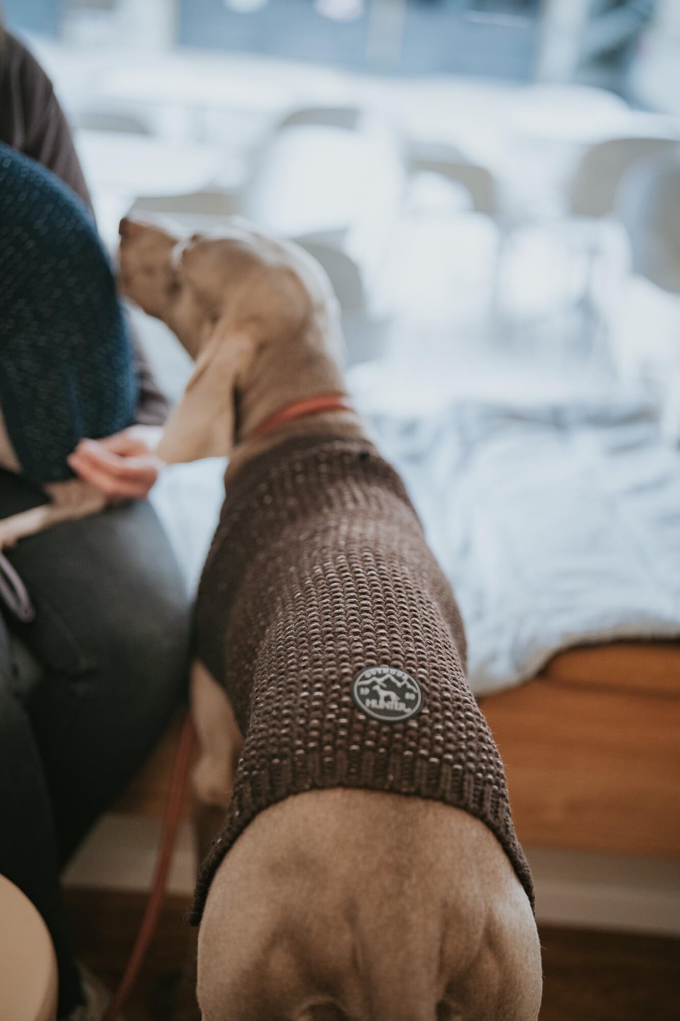 hunter-pullover-finja-warmen-hundepullover-aus-dickem-strickgarn-mit-reflektiere image 8