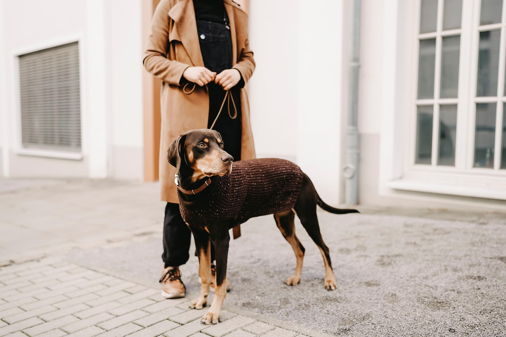 hunter-pullover-finja-warmen-hundepullover-aus-dickem-strickgarn-mit-reflektiere image 7