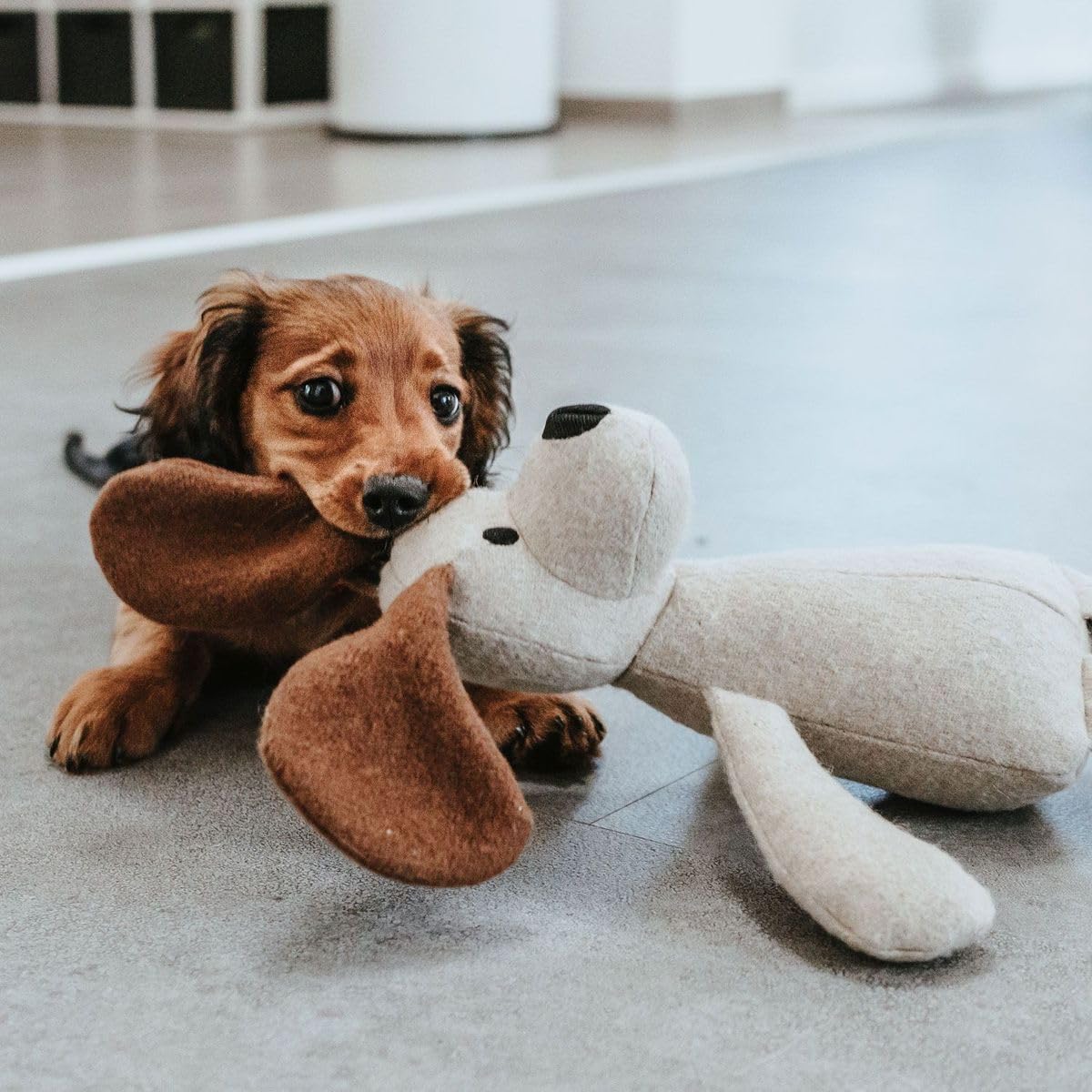 hunter-hundespielzeug-marle-hund-35-cm-ohne-squeaker-aus-recycelten-materialien image 3