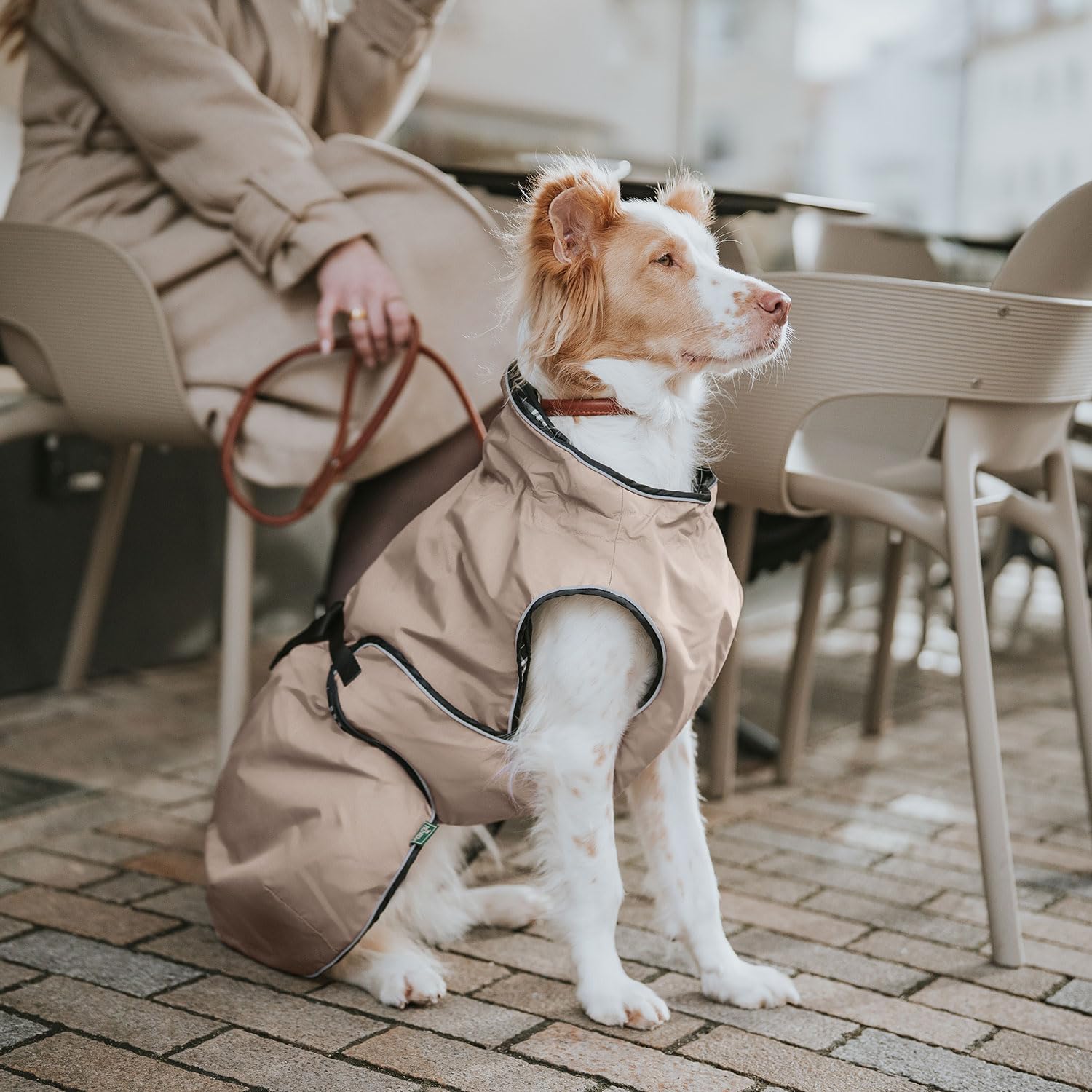 hunter-hundemantel-uppsala-50-in-taupe-2in1-wintermantel-mit-herauskn-pfbarem-in image 8