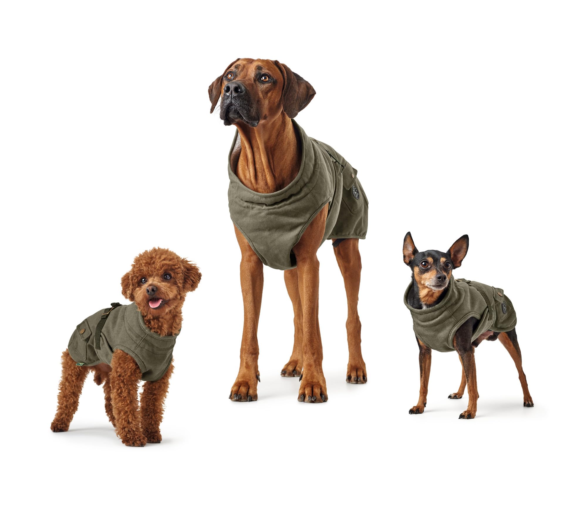 hunter-hundemantel-uppsala-trend-khaki-wasser-windabweisend-teddy-innenfutter-re image 7