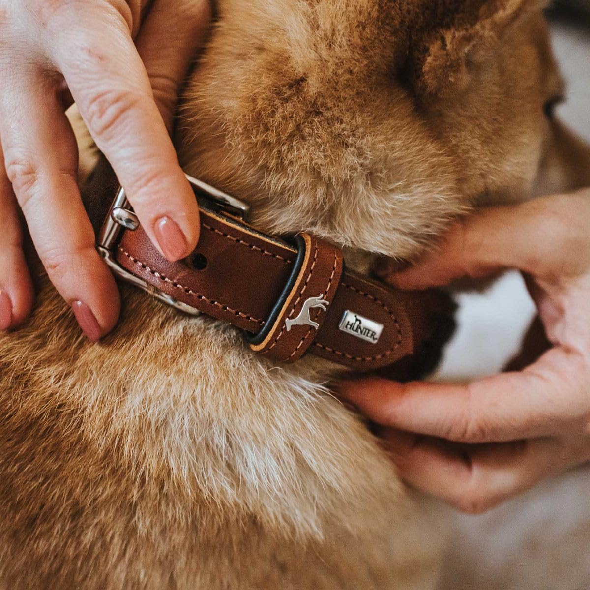 hunter-el-paso-hundehalsband-leder-geschmeidig-handgeflochten-cognac-schwarz-gr- image 8