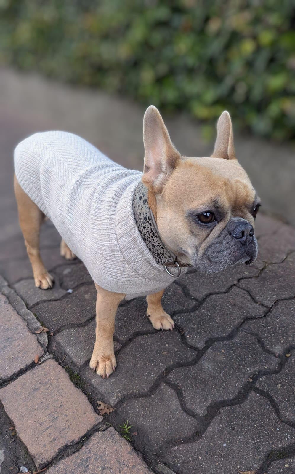 Schöner Strickpullover