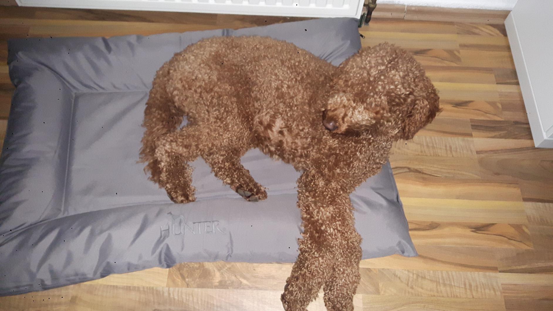 Gutes Bett, wischbar