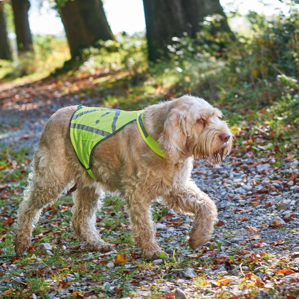 hunter-warnweste-f-r-hunde-gr-e-s-reflektierende-sicherheitsweste-verstellbar-wa image 3