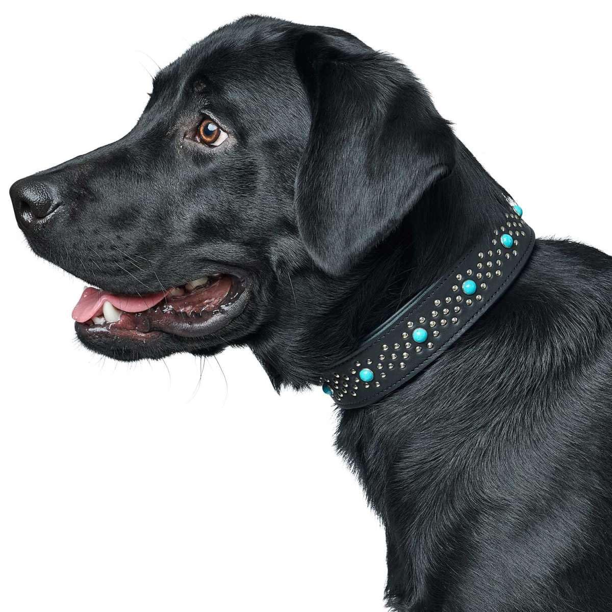 hunter-halsband-madona-gr-e-45-schwarz-rindsleder-mit-nappaleder-nieten-und-schm image 4