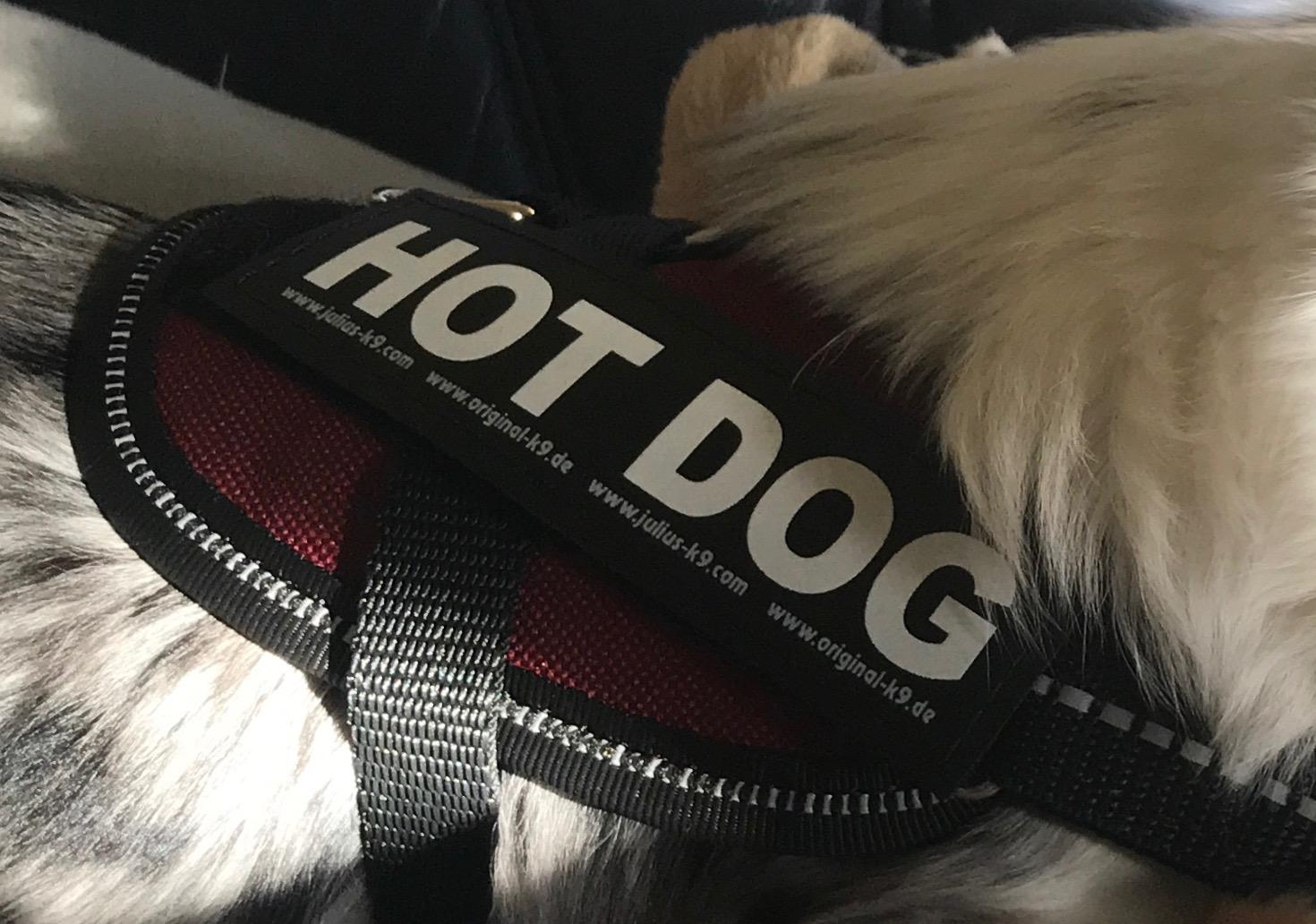 Original Julius-K9