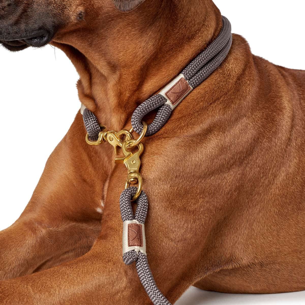 hunter-sansibar-rantum-halsung-nautisches-tau-hundehalsband-mit-messing-verschlu image 8