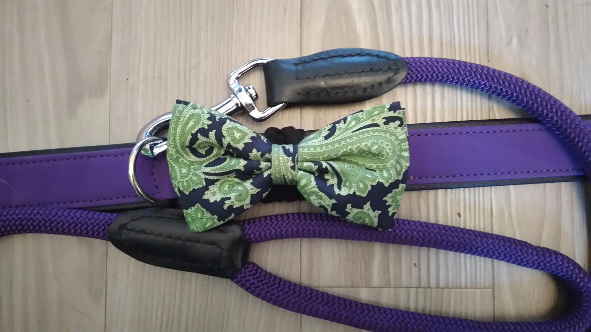 Schönes Halsband, gute Passform