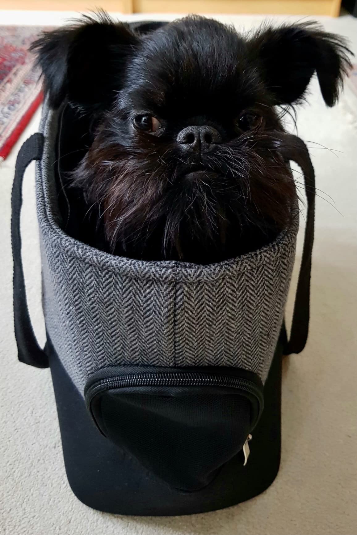 Schöne Tasche, guter Tragekomfort