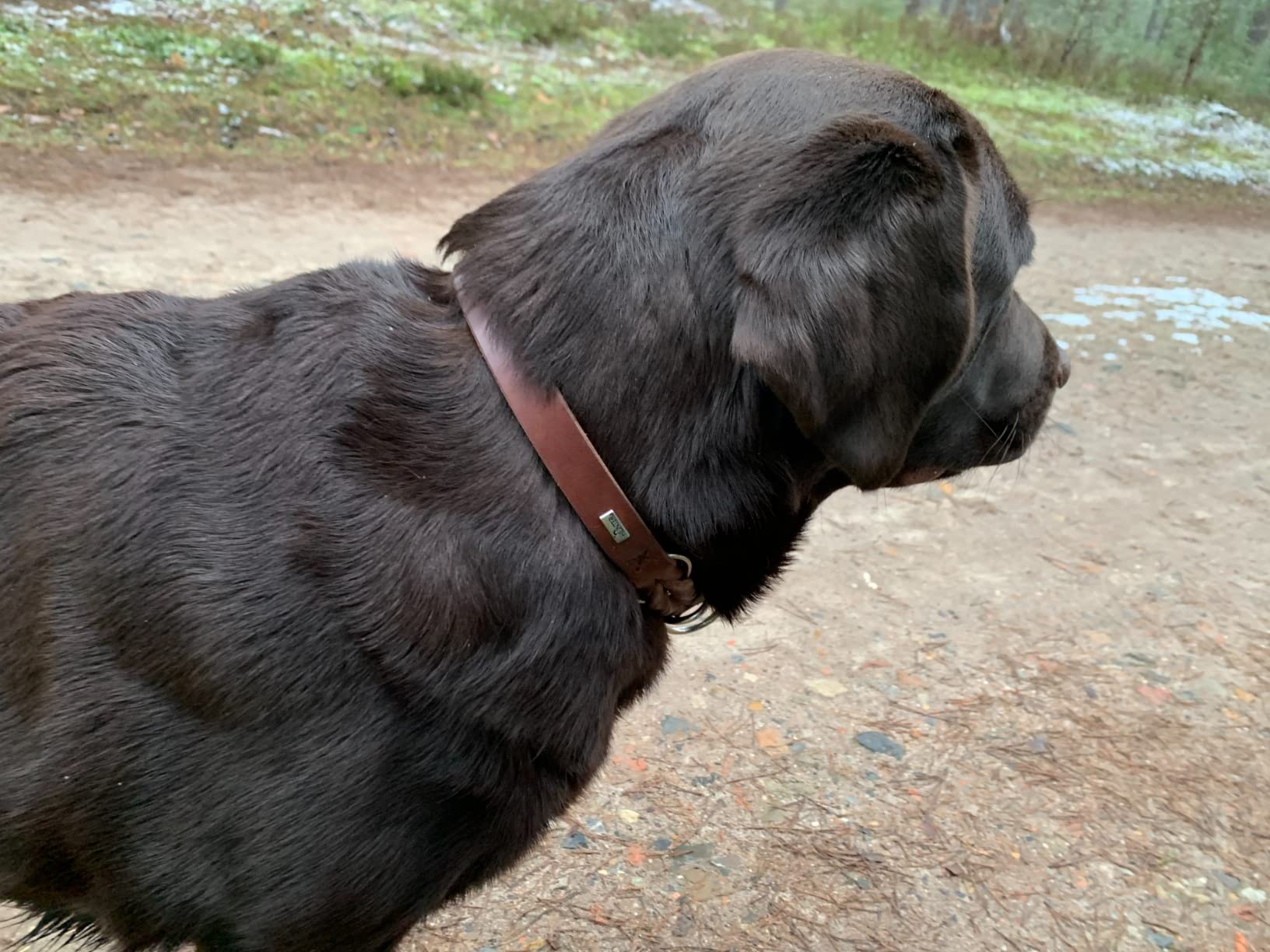 Sehr gutes Produkt für den Hundesport