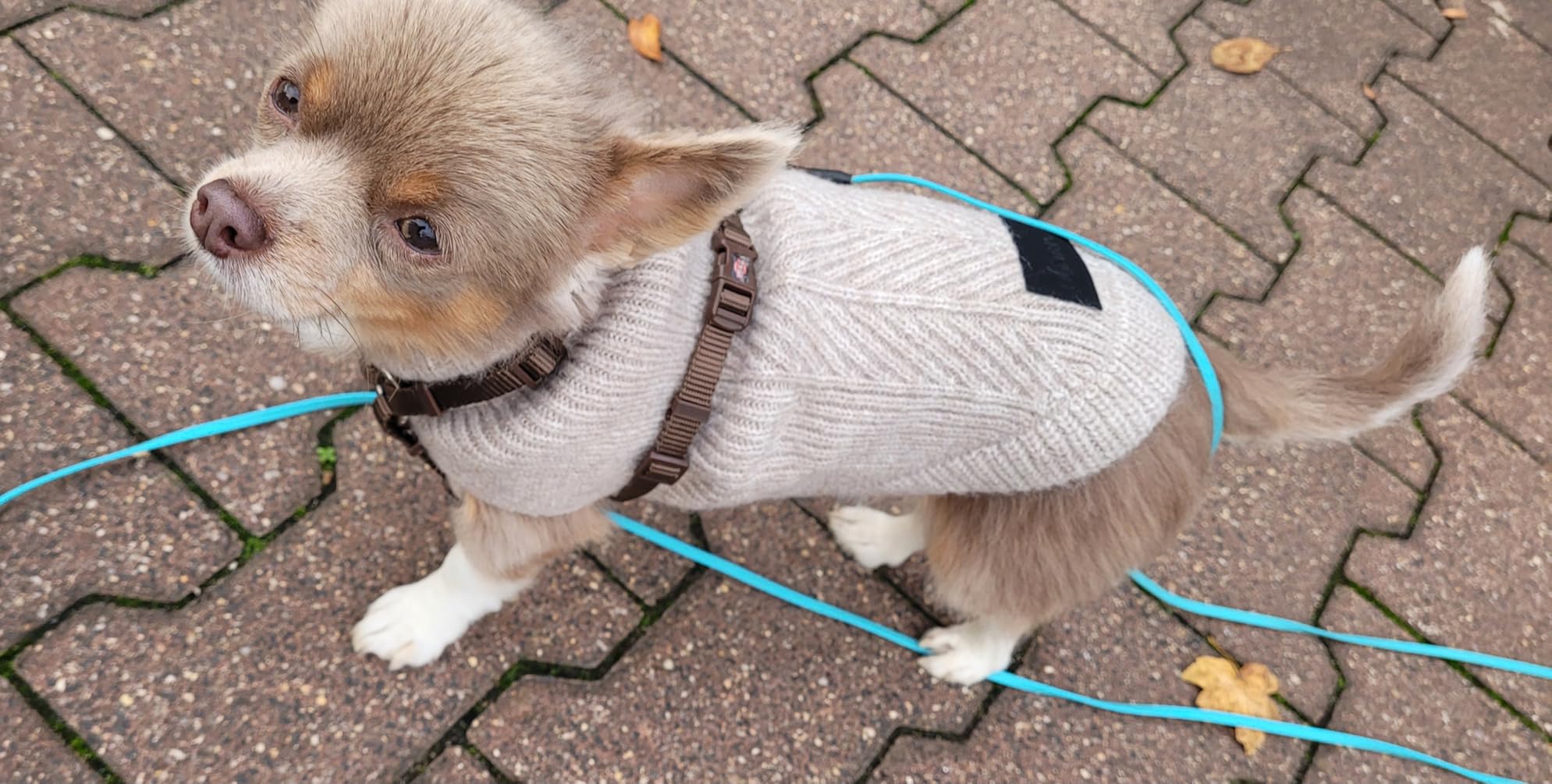 Kuscheliger Pullover