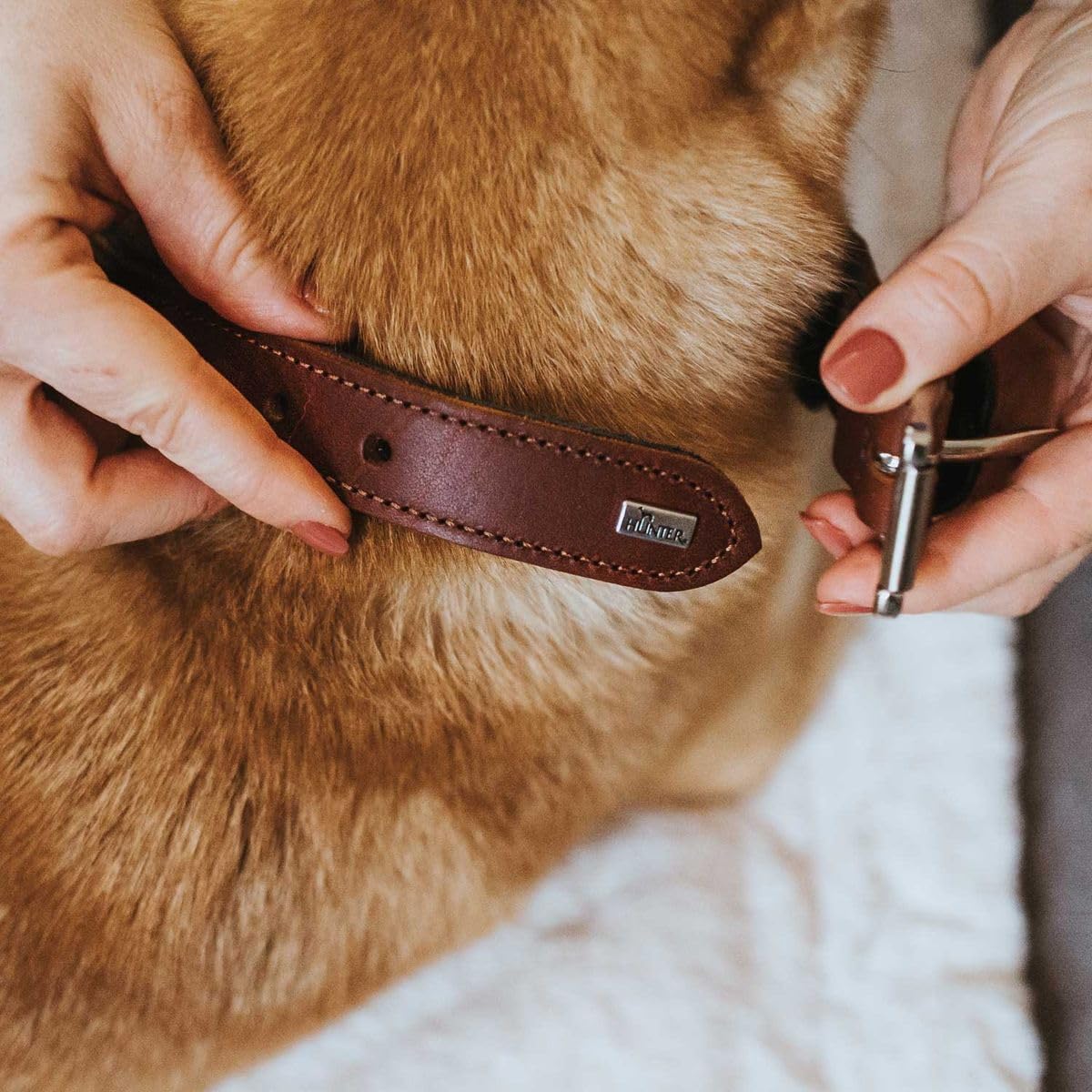 hunter-el-paso-hundehalsband-leder-geschmeidig-handgeflochten-cognac-schwarz-gr- image 7