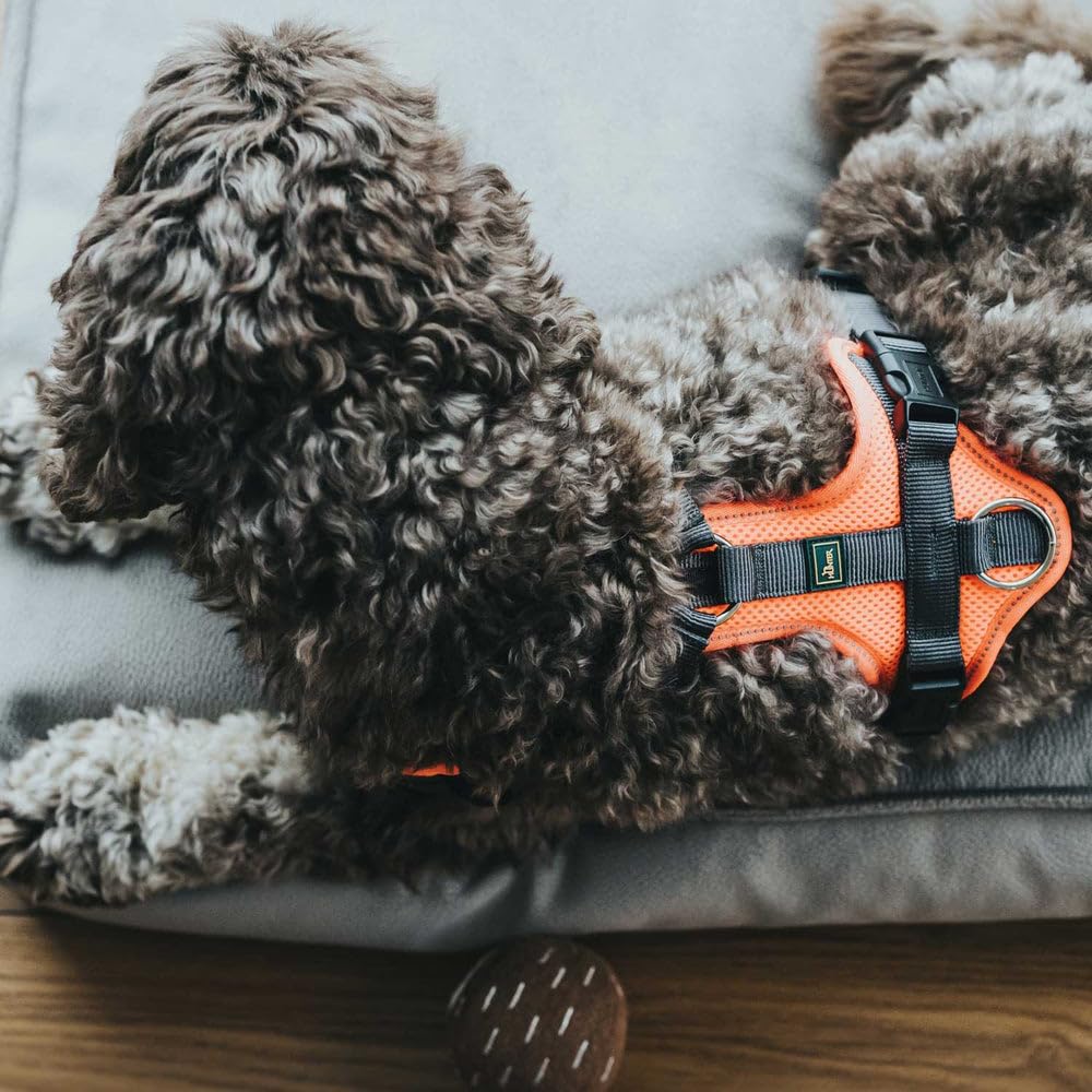 hunter-hundegeschirr-maldon-up-xs-altrosa-grau-gepolstertes-y-geschirr-mit-3m-sc image 7