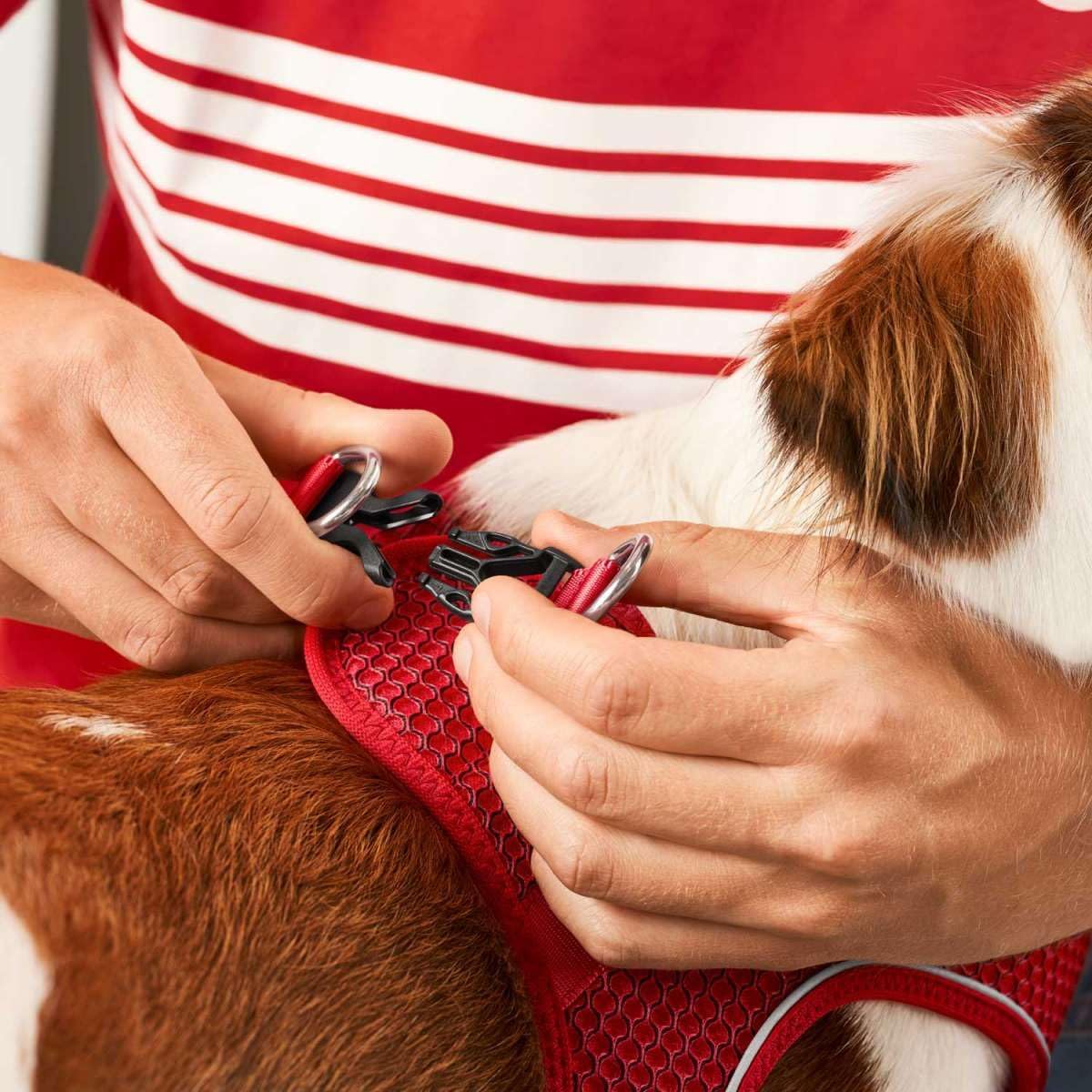 hunter-hilo-comfort-fc-bayern-m-nchen-hundegeschirr-3d-mesh-mit-k-hl-und-k-hleff image 4
