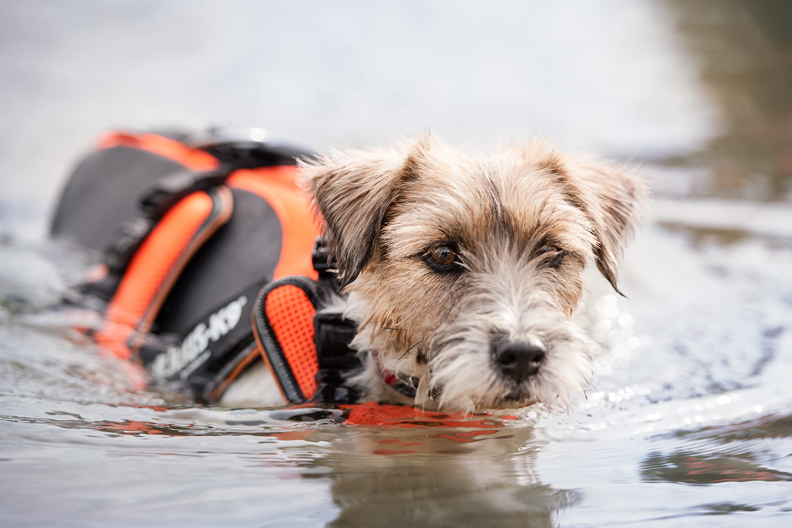 julius-k9-multivest-4-in-1-hundegeschirr-gr-e-s-uv-orange-schwimm-k-hl-und-rehab image 3