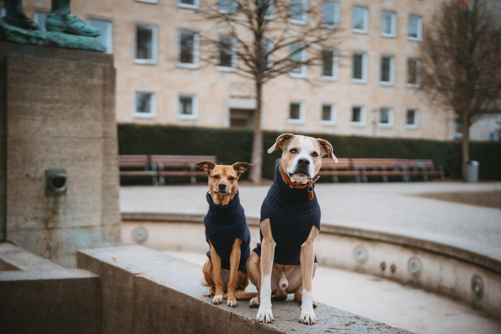 hunter-hundepullover-genf-gr-e-60-strickpullover-aus-recyceltem-polyester-umschl image 7