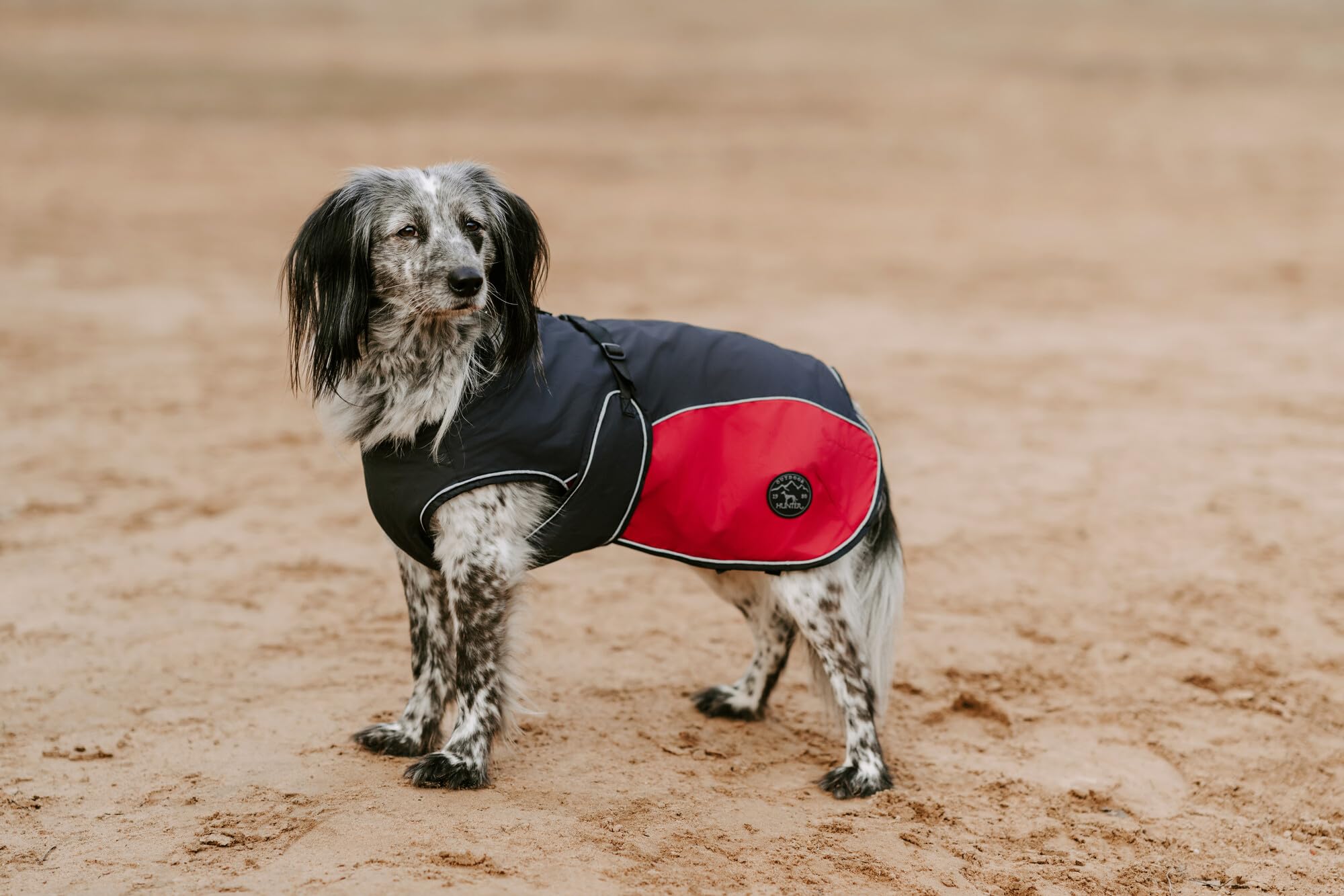 hunter-hundemantel-uppsala-allrounder-gr-40-2-in-1-wasser-und-windabweisend-mit- image 6