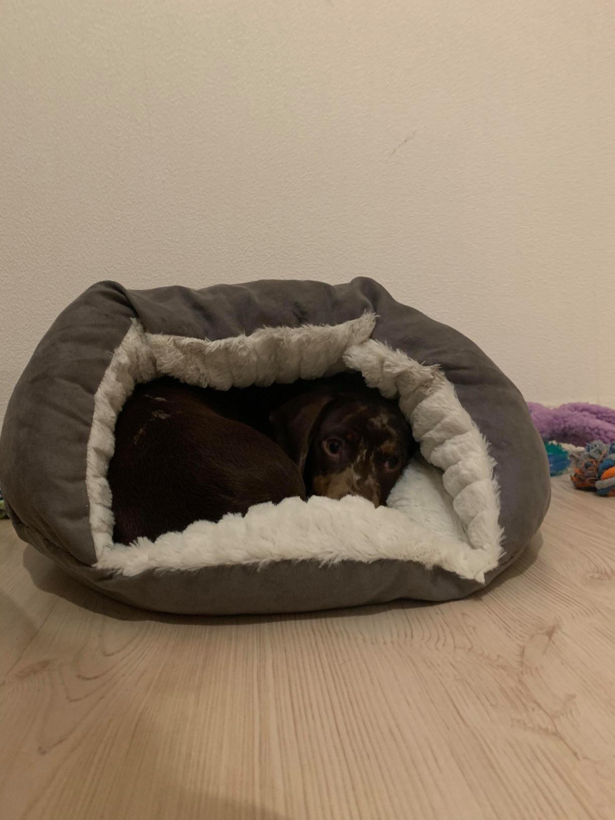 Katze meidet sie leider