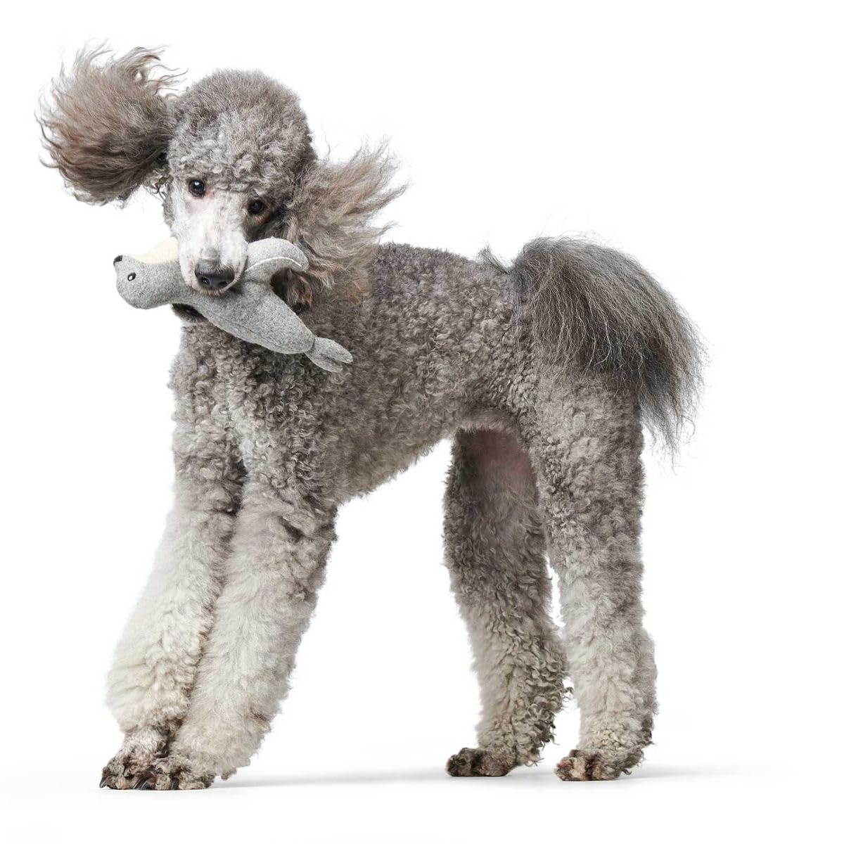 hunter-skagen-seerobbe-hundespielzeug-25-cm-ohne-squeaker-aus-recycelten-materia image 2